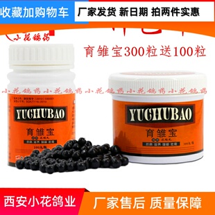 心连心育雏宝买大送小400丸幼鸽种鸽信鸽用品鸽子特价赛鸽满包邮