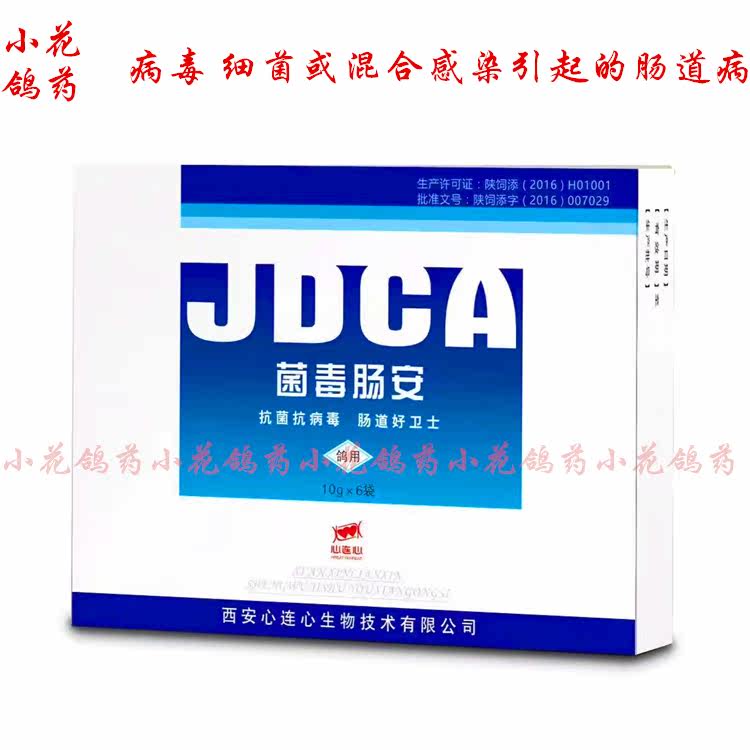 心连心新品肠安粉10克6袋鹦鹉八哥信鸽用品赛鸽小花鸽业包邮