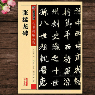 现货 正版 湖北美术出版 传世碑帖精选 彩色本第四辑 北魏毛笔楷书碑帖临摹字帖 张猛龙碑 墨点字帖编 社