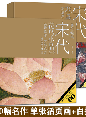2盒共40幅 宋代花鸟小品一二宋人小品白描稿工笔花鸟临摹范本工笔画底稿白描画稿大幅宋画步骤教学中国画白描入门描摹线描临摹画册
