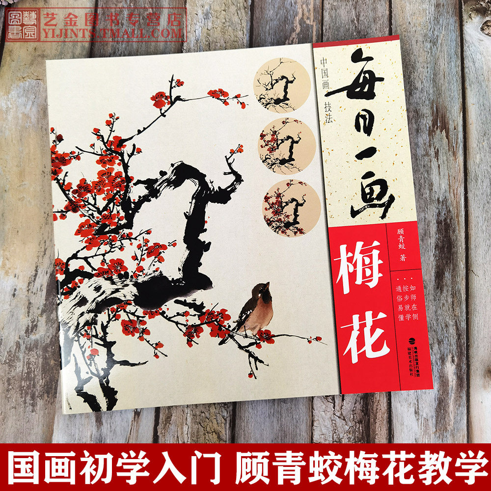 每日一画梅花 顾青蛟写意梅花中国画技法 零基础梅花画法国画初学技法