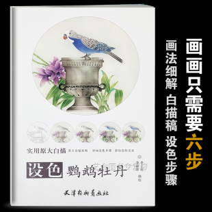 设色鹦鹉牡丹 实用原大白描画稿 李立环李晓环编绘 详细社色步骤 轻松绘制完成 鹦鹉牡丹工笔画国画技法 杨柳青