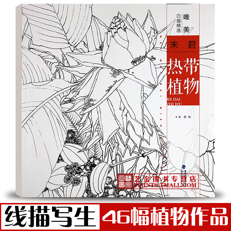 未君绘 白描热带植物花卉画法作品集 白描画稿工笔画白描底稿勾线写生
