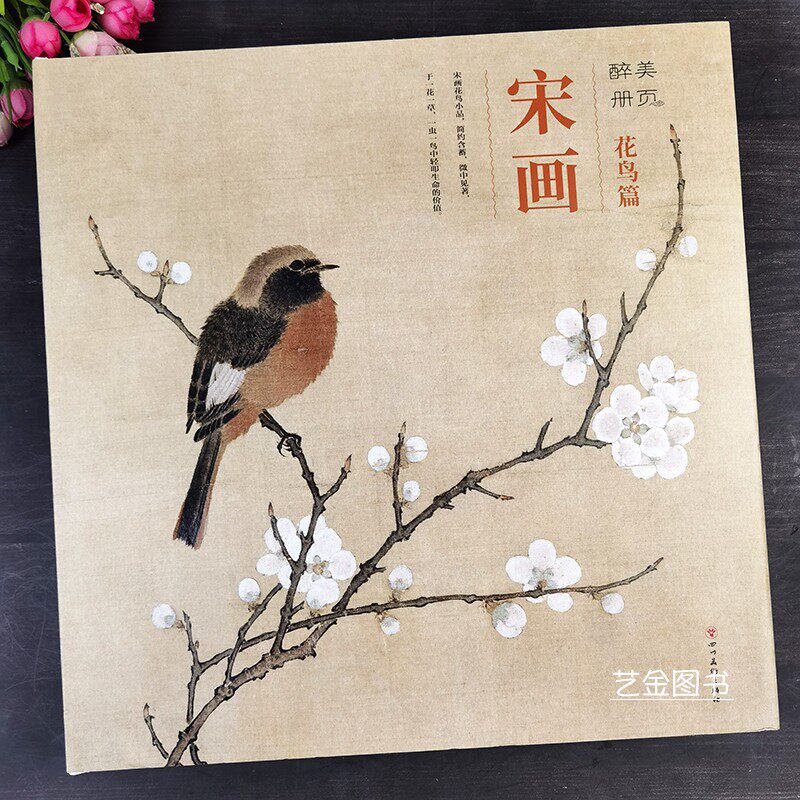 醉美册页 宋画花鸟篇96幅宋代花鸟小品原大级高清画作中国工笔花鸟画