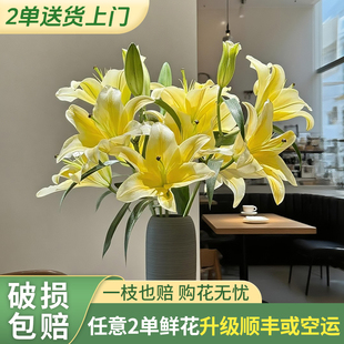 【梦境  黄天霸】香水百合 -任意两单发顺丰冷链或邮政空运