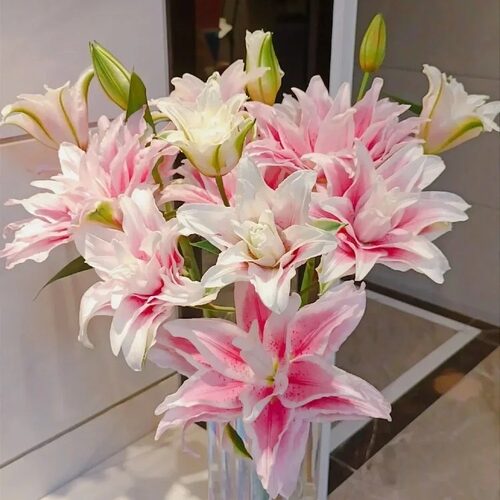 【元宝优选 伊莎贝拉重瓣香水百合】云南直发鲜花水养鲜切花