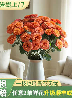 【梦境花卉 橙色芭比】 -任意两单发顺丰冷链或德邦快运