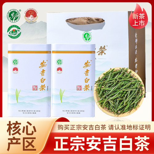 安吉白茶2025新茶春季二级茶叶浙江湖州特产罐装250g手提袋