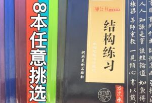 初学者 中国毛笔水写书法教程 柳公权玄秘塔碑水写字帖练习贴（需要哪本联系客服）