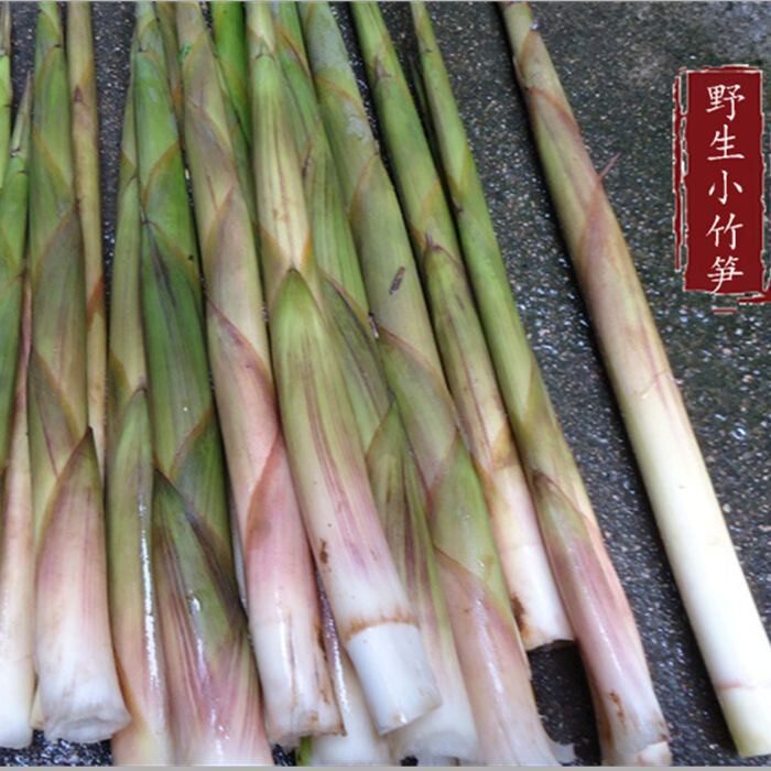 现货浙江5斤野生现拔小竹笋带壳 新鲜农家春山笋嫩尖春笋包邮水笋