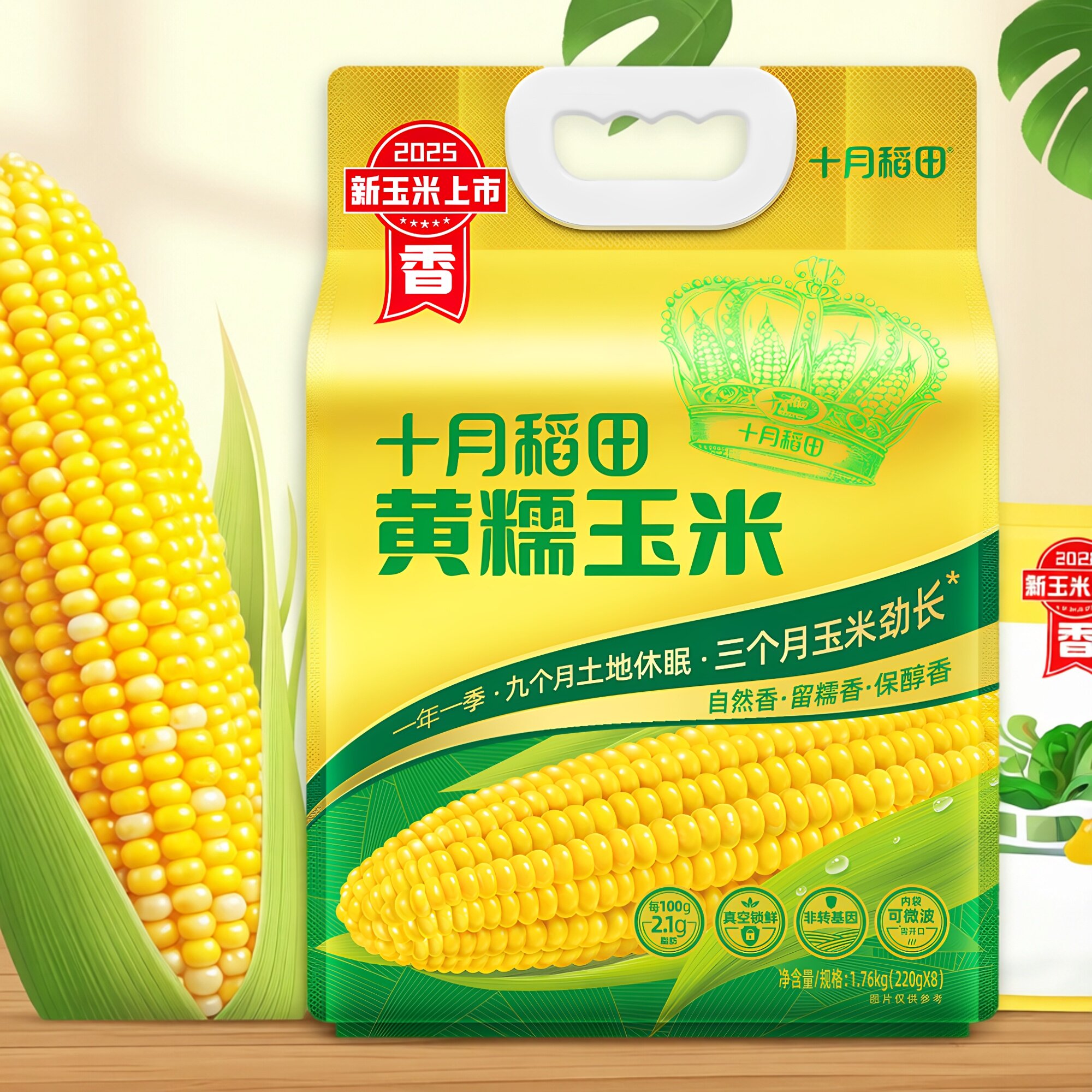 十月稻田黄糯玉米棒白糯黑糯甜软真空即食玉米棒东北早餐代餐