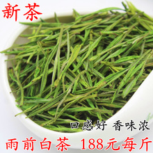 现货白茶2024年新茶叶雨前白茶高山黄金珍稀白茶绿茶500g包邮