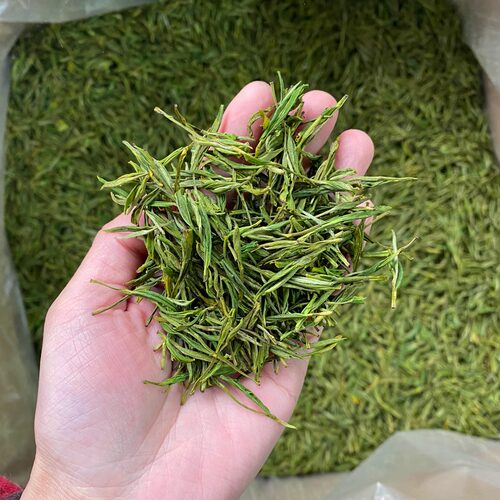 雨前白茶2026新茶高山