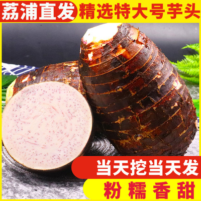 正宗新鲜广西荔浦芋头现挖现发