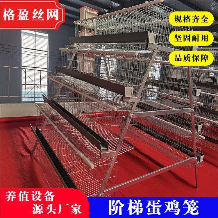 四层五门简易鸡笼自动阶梯蛋鸡笼冷热镀锌防腐防锈,畜牧/养殖物资,特种养殖设备,淘宝优惠券,粉丝福利购,淘宝优惠卷