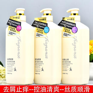 名歌香水香氛洗发露去屑止痒控油清爽丝质顺滑焗油滋润持久洗发露