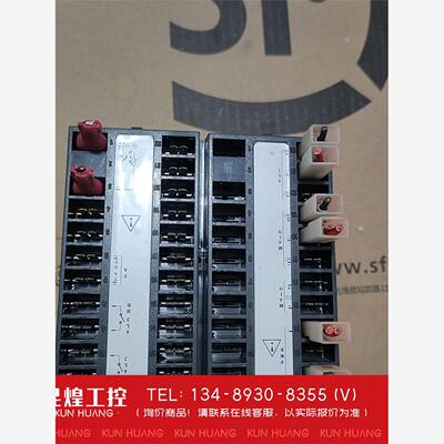 询价！regloplas温控器一台1101-R0-0-1-p2