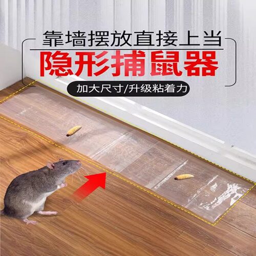 【超强粘力】透明粘鼠板老鼠粘鼠毯捕鼠魔毯粘鼠强力家用抓鼠