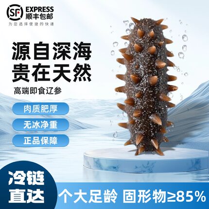 【即食海参】开袋即食免蒸免煮顺丰冷链营养滋补口感Q弹