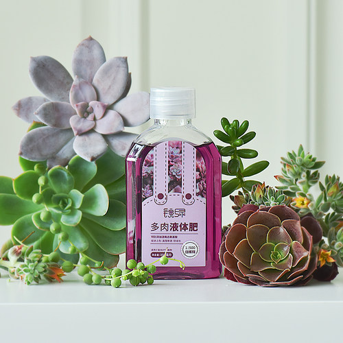 多肉植物专用液体肥价格 多肉植物专用液体肥图片 星期三