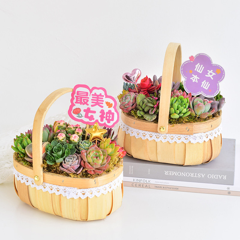 生活美学手工编制多肉花篮办公室桌面绿植小盆栽家居装饰懒人好养