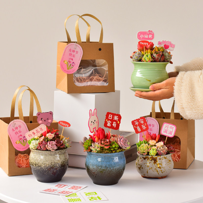 女神节多肉组合礼品手提袋鲜活盆栽植物花卉室内情绪桌面古风送礼
