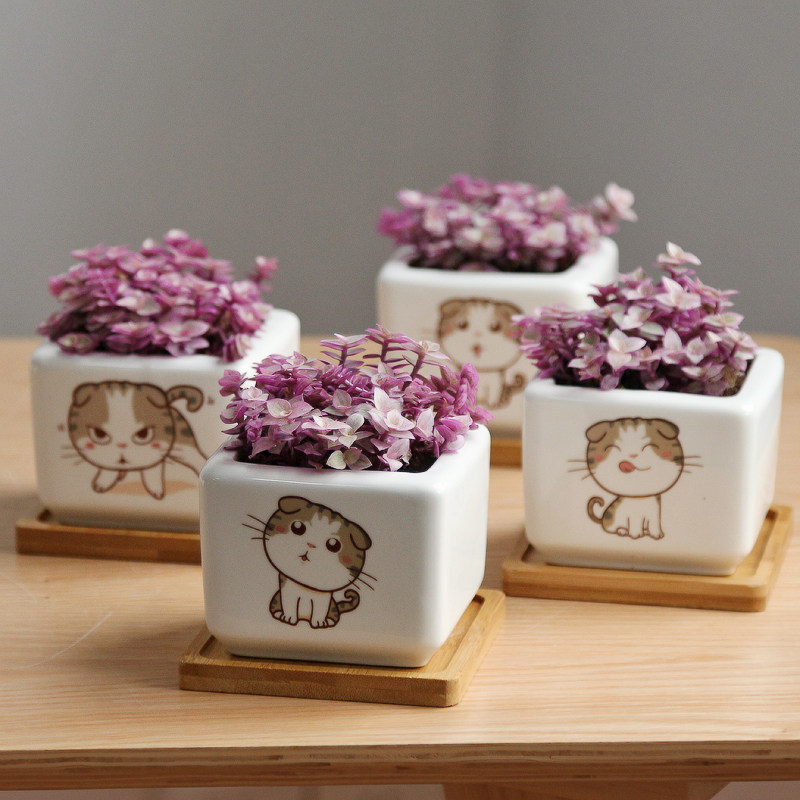 Rouge Succulent plants Xi Yang colour combination Potted plant flowers and plants indoor Fleshyin the Flower delivery/Flowers simulation/Plants gardening , Flowers/Potted plants (New) , Succulents  category - from Buy2taobao.com to provide professional Taobao agent buy service