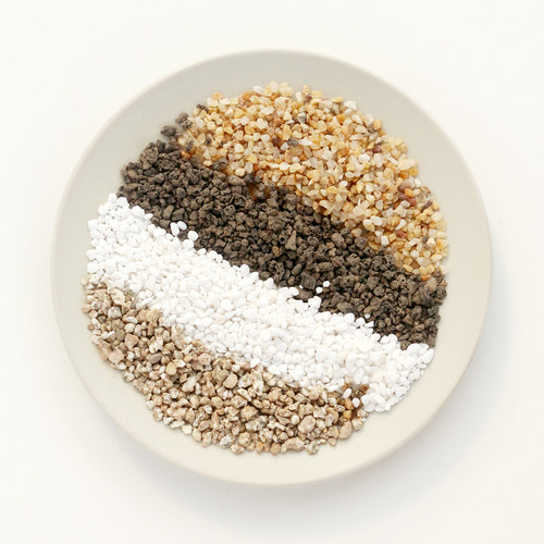 多肉植物白石子园艺盆栽泥炭土