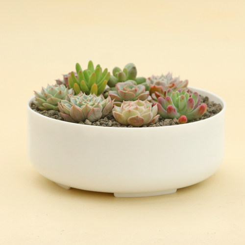 摔不碎 不会伤人