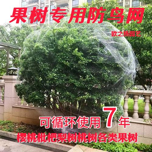 果树防鸟用的网农用防鸟丝网果园天网嘉宝果树防鸟罩子阳台防鸟网