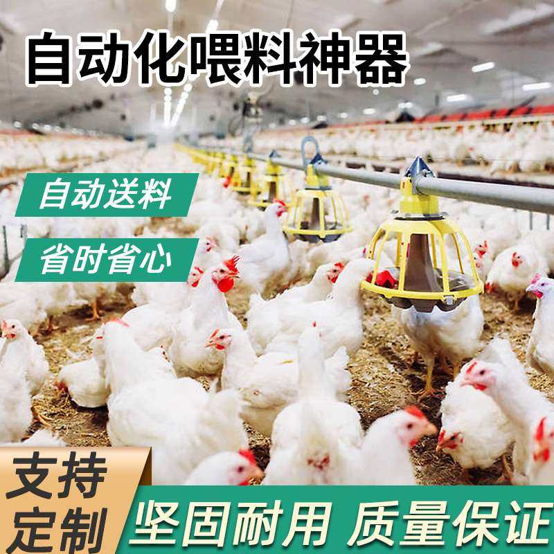 养殖料线水线鸡舍喂食上料机喂鸡用绞龙养殖设备养鸡场自动喂料机