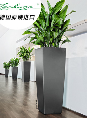 德国进口Lechuza乐株沯自动吸水客厅酒店落地仿陶特大号塑料花盆