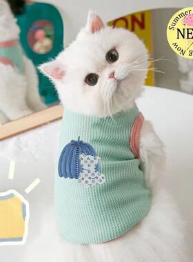 狗狗春夏秋天衣服薄款猫咪宠物泰迪比熊博美小型犬透气背心防掉毛