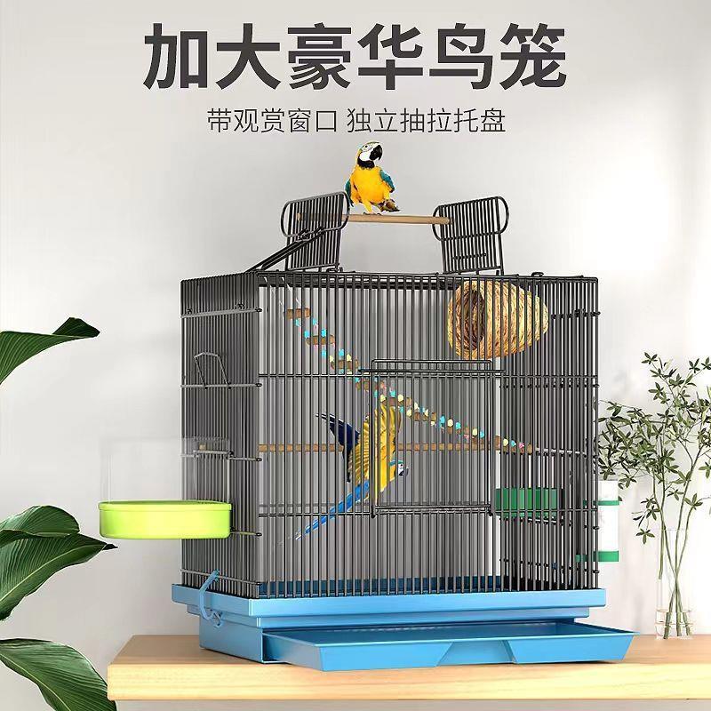 鸽子笼玄凤鸟笼鹦鹉笼家用大空间顶部开门玄凤绣眼珍珠文鸟笼子