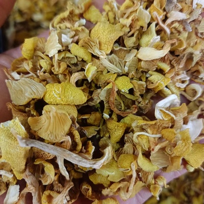 榆黄蘑碎片鸡油菌干货碎片500g煲汤料榆黄蘑做馅料火锅调汤包邮