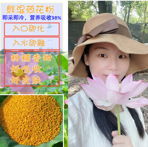 养皮白亮干净鲜湿荷花粉漂亮年轻