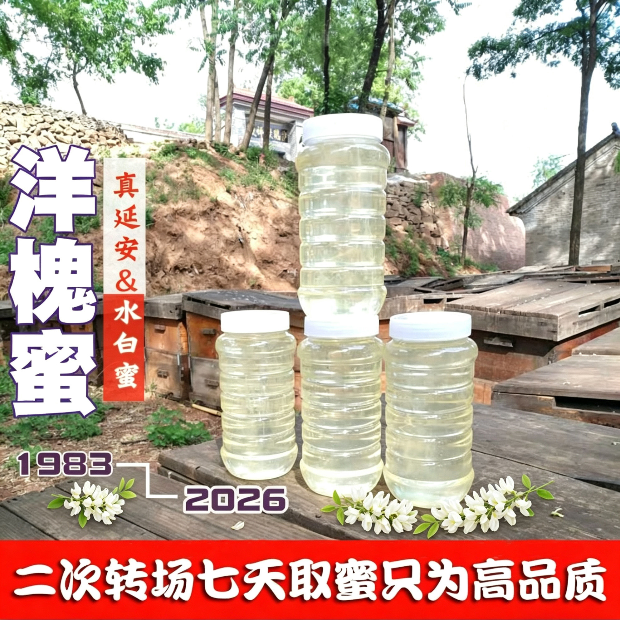 延安新鲜水白洋槐花蜂蜜纯正天然农家自产成熟野生泡柠檬孕妇
