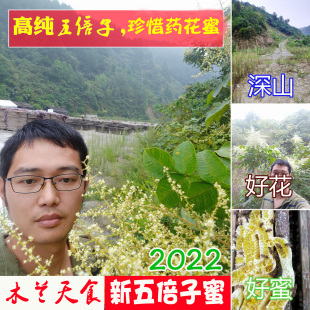 蜂农自采纯净药花蜜 气血湿 天然原蜜1斤 2023新鲜五倍子蜂蜜