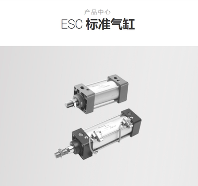 亿日气缸 非标定制  忽乱拍  ESCV80*500-S-FA-F001 ESU ESI