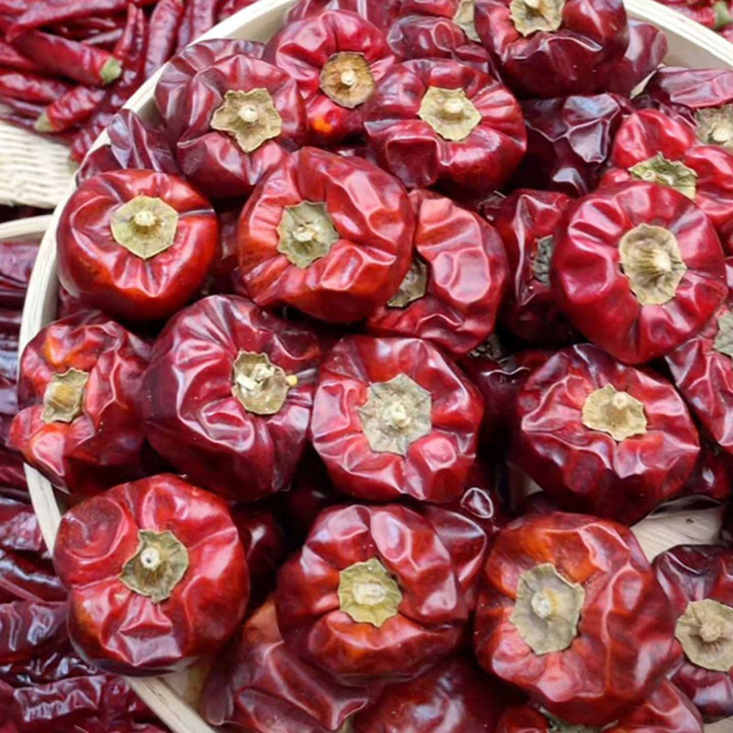 微辣特香灯笼椒500g干麻辣香锅