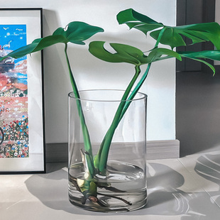 龟背竹专用大口径花瓶玻璃透明水培器皿宽口广口敞口绿植醒花桶