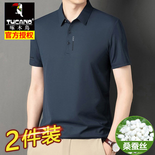 翻领半袖 啄木鸟男士 夏季 短袖 冰丝纯色休闲体恤男 t恤桑蚕丝polo衫
