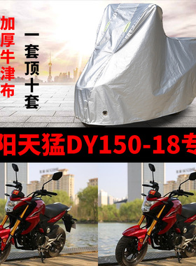适用于大阳天猛DY150-18摩托车车衣防雨水防晒加厚遮阳防尘车罩套