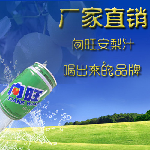 散罐向旺安梨汁酸甜口味梨汁饮料河北唐山迁西特产酸梨安梨汁饮品