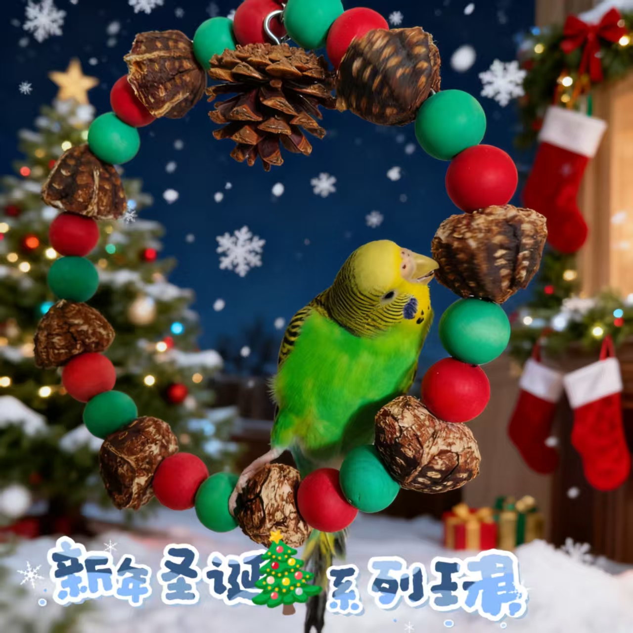 鹦鹉啃咬玩具圣诞新年系列