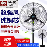 駱駝大風(fēng)力工業(yè)落地扇商用壁掛扇