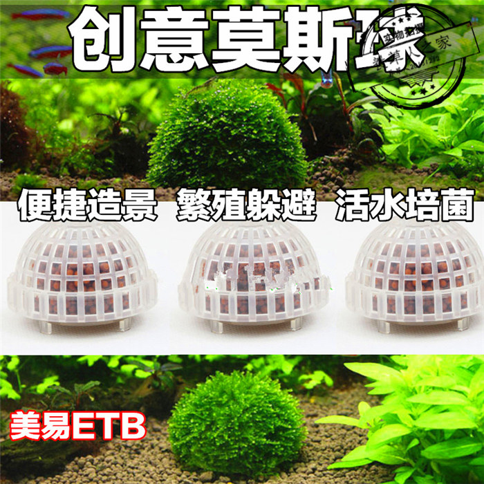 ETB美易透明沉水球莫斯球莫丝观赏虾屋躲避繁殖内含矿物质球草缸