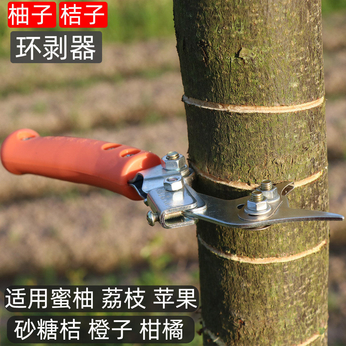 砂糖桔101蜜柚桔子102环割刀开口闭口环剥刀果树可调节环剥器柑橘