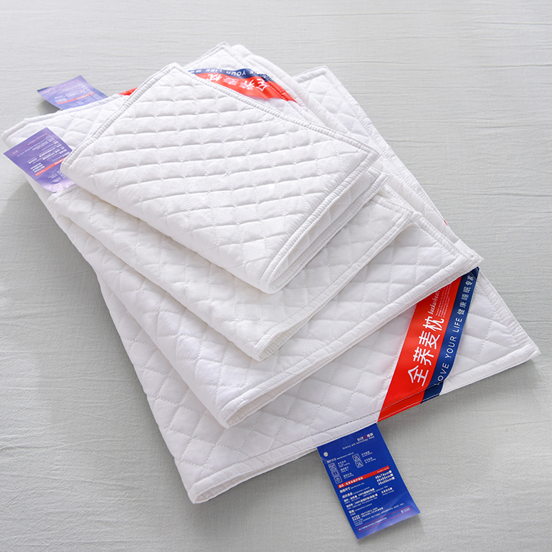 纯棉双层枕芯套防漏加厚加密