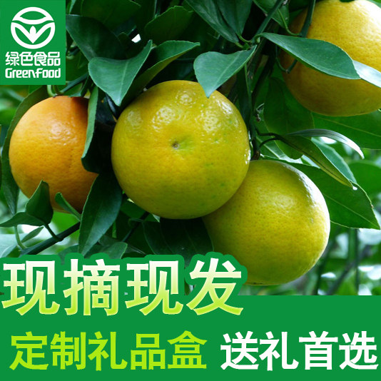 正宗纯甜德庆皇帝柑肇庆贡柑当季新鲜水果柑橘自家种植黄帝柑橘子